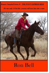 Cover image for The Pony Express Rider