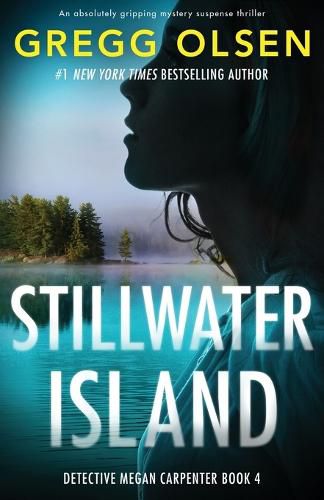 Stillwater Island: An absolutely gripping mystery suspense thriller