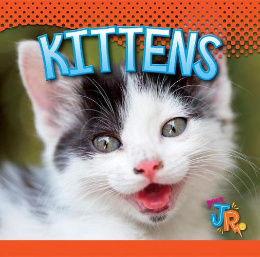 Cover image for Kittens