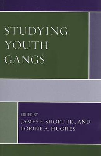 Cover image for Studying Youth Gangs