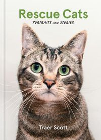 Cover image for Rescue Cats