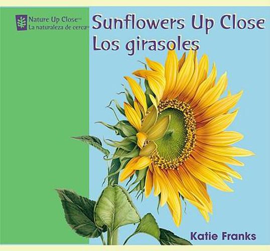 Cover image for Sunflowers Up Close / Los Girasoles