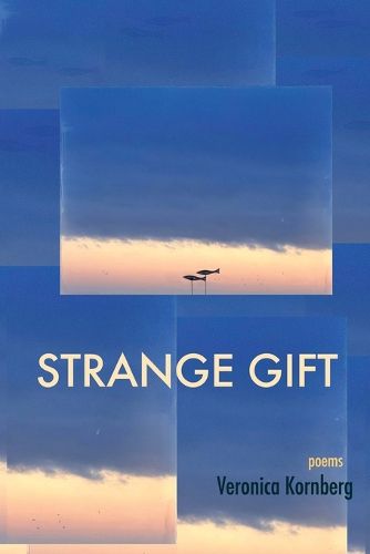 Cover image for Strange Gift