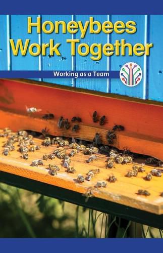 Cover image for Honeybees Work Together: Working as a Team