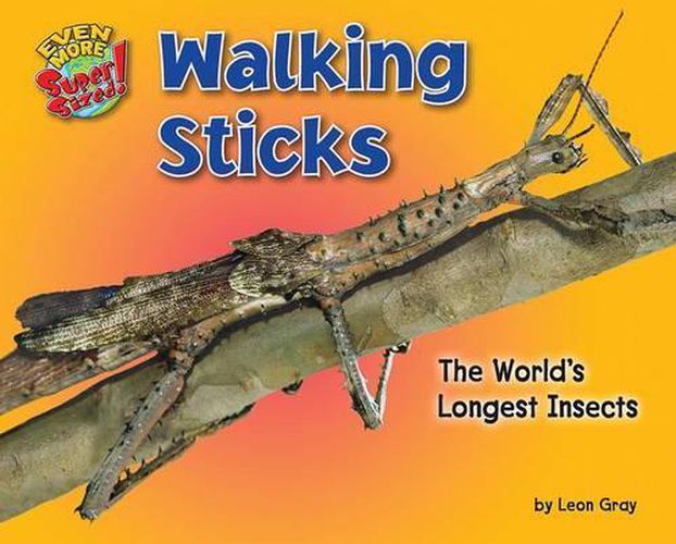 Cover image for Walking Sticks: The World's Longest Insects