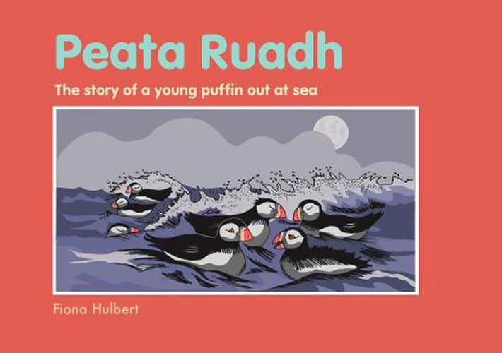 Cover image for The story of a young puffin out at sea