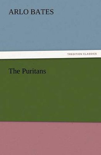 Cover image for The Puritans