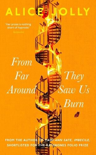 Cover image for From Far Around They Saw Us Burn