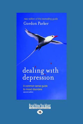 Cover image for Dealing With Depression: A Common Sense Guide to Mood Disorders: 2nd Edition