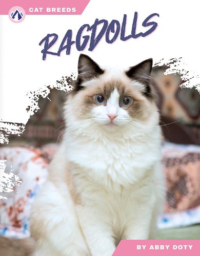 Cover image for Ragdolls