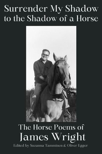 Cover image for Surrender My Shadow to the Shadow of a Horse