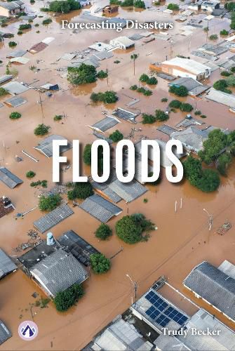 Cover image for Floods