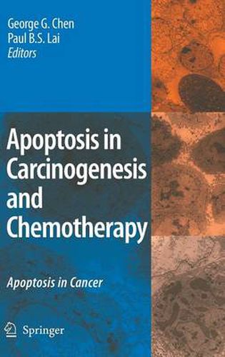 Cover image for Apoptosis in Carcinogenesis and Chemotherapy: Apoptosis in cancer