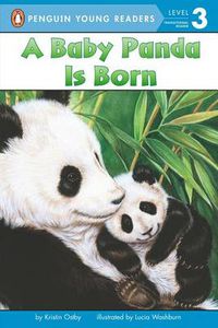 Cover image for A Baby Panda Is Born