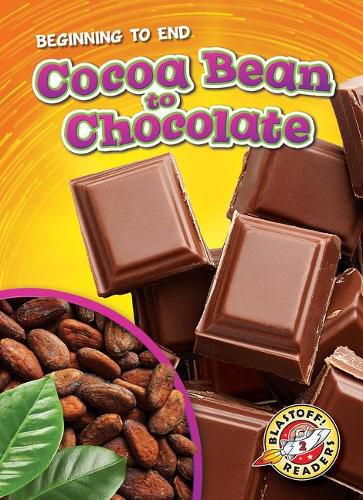 Cocoa Bean To Chocolate