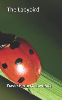 Cover image for The Ladybird