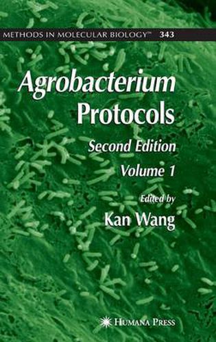 Cover image for Agrobacterium Protocols: Volume I