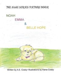 Cover image for The Name Series Picture Book: Noah, Emma & Belle Hope