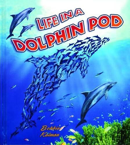 Cover image for Life in a Dolphin Pod