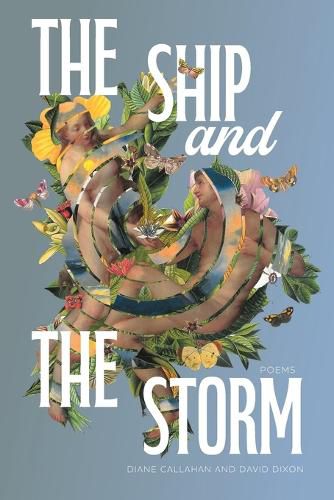 Cover image for The Ship and the Storm