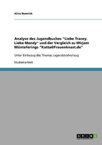 Cover image for Analyse des Jugendbuches Liebe Tracey. Liebe Mandy und der Vergleich zu Mirjam Munteferings Katta@Frauenknast.de: Unter Einbezug des Themas Jugendstrafvollzug