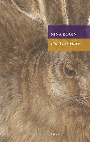 Cover image for The Lost Hare