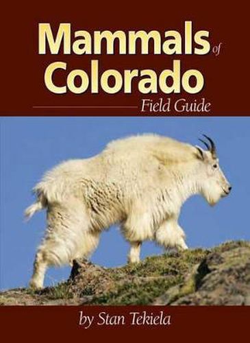 Cover image for Mammals of Colorado Field Guide