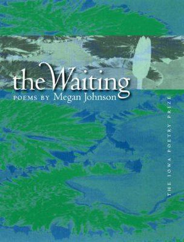 Cover image for The Waiting