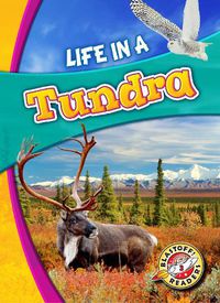 Cover image for Life in a Tundra