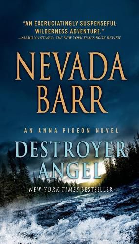 Cover image for Destroyer Angel