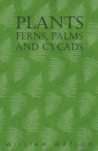 Cover image for Plants - Ferns, Palms and Cycads