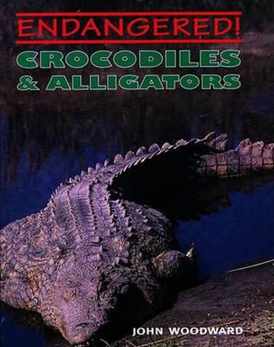 Crocodiles & Alligators