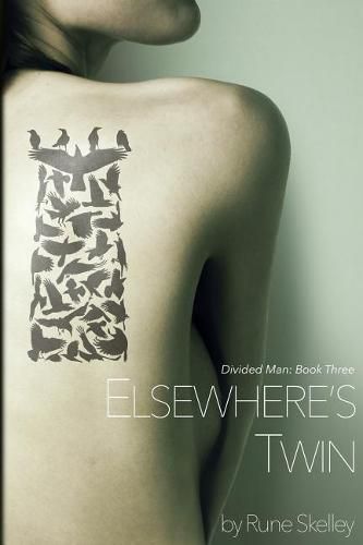 Cover image for Elsewhere's Twin: a novel of sex, doppelgangers, and the Collective Id