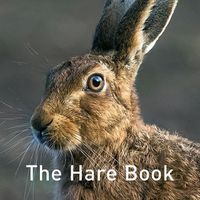 Cover image for The Hare Book