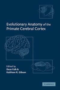 Cover image for Evolutionary Anatomy of the Primate Cerebral Cortex