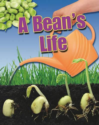 Cover image for A Bean's Life