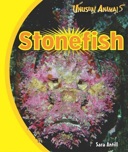 Cover image for Stonefish