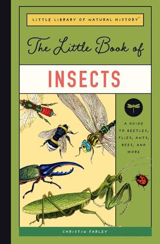 The Little Book of Insects: A Kid's Guide to the Creepy and Crawly