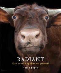 Cover image for Radiant: Farm Animals Up Close and Personal