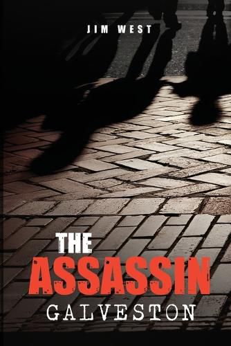 Cover image for The Assassin Galveston
