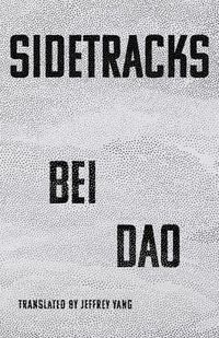 Cover image for Sidetracks