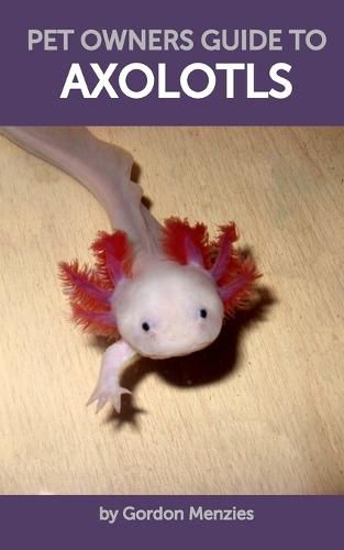 Cover image for Pet Owners Guide to Axolotls