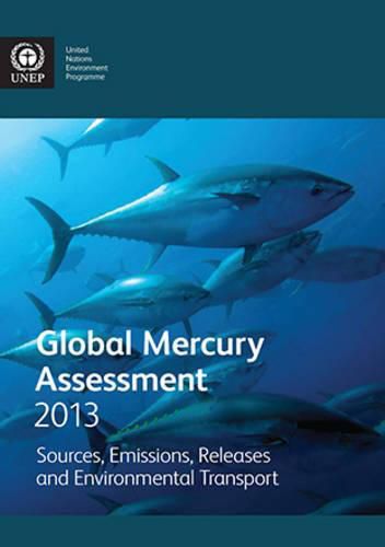 Global mercury assessment 2013: sources, emissions, releases and environmental transport