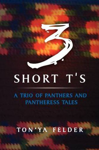 Cover image for 3 Short T's