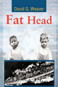 Cover image for Fat Head