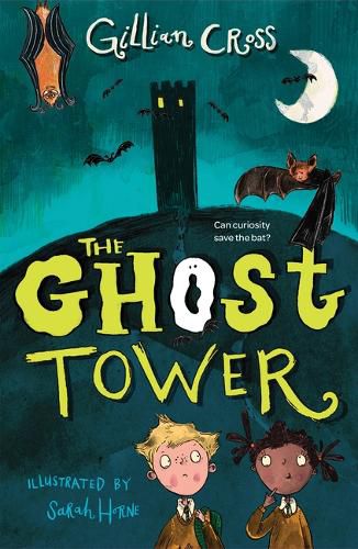 Cover image for The Ghost Tower