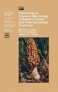 Cover image for Field Guide to Common Macrofungi in Eastern Forests and Their Ecosystem Function