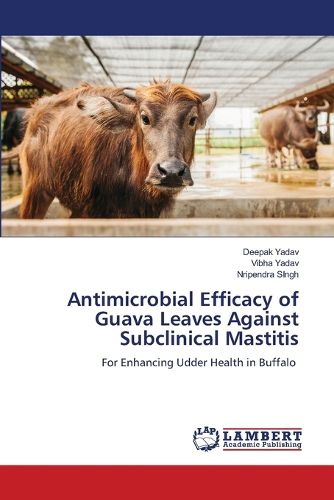 Cover image for Antimicrobial Efficacy of Guava Leaves Against Subclinical Mastitis