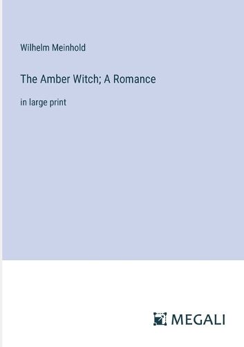 Cover image for The Amber Witch; A Romance