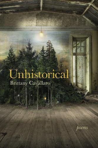 Cover image for Unhistorical: Poems